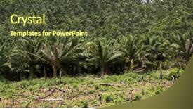  Presentation with oil palm plantation - PPT layouts having palm oil plantation and area background and a  colored foreground