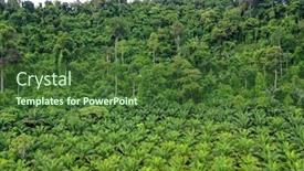  Presentation with oil palm plantation - Amazing slides having palm-oil-plantation-and-rainforest backdrop and a tawny brown colored foreground