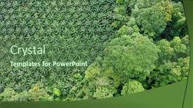  Presentation with oil palm plantation - Presentation having palm-oil-plantation-at-rainforest background and a ocean colored foreground
