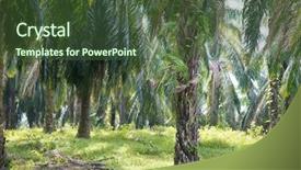  Presentation with palm plantation - Colorful presentation design enhanced with palm oil plantation at south backdrop and a tawny brown colored foreground