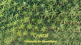  Presentation with oil palm plantation - PPT theme having tropical food malaysia - palm oil plantation background and a tawny brown colored foreground