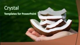  Presentation with coconut - Amazing theme having palm oil tree - hand holding coconut spa collection backdrop and a tawny brown colored foreground