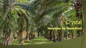  Presentation with palm oil - Slide deck with palm-oil-tree-plantations background and a tawny brown colored foreground