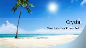  Presentation with palm tree - Beautiful presentation theme featuring palm on island backdrop and a light blue colored foreground