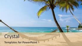  Presentation with romantic beach - Cool new slides with palm on the tropical backdrop and a lemonade colored foreground