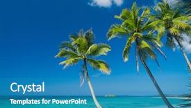  Presentation with serenity - Cool new theme with palm panorama serenity shore backdrop and a teal colored foreground