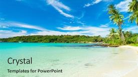  Presentation with serenity - Colorful presentation theme enhanced with palm panorama serenity shore backdrop and a soft green colored foreground