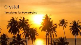  Presentation with skies - Presentation design featuring palm paradise burning skies background and a yellow colored foreground