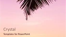  Presentation with divine - Cool new presentation theme with palm paradise sunrise divine backdrop and a light gray colored foreground