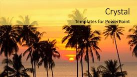  Presentation with divine - Presentation featuring palm paradise sunset divine background and a yellow colored foreground