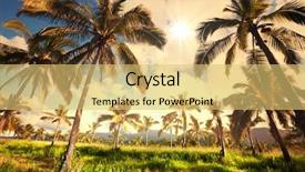  Presentation with palm plantation - Slide deck with palm plantation on hawaii background and a yellow colored foreground