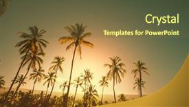  Presentation with palm plantation - Colorful slide set enhanced with palm plantation on tropical island backdrop and a tawny brown colored foreground