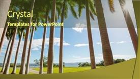  Presentation with palm plantation - Colorful presentation theme enhanced with palm-plantation-on-tropical-island backdrop and a tawny brown colored foreground