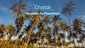  Presentation with palm plantation - PPT theme enhanced with palm-plantation-on-tropical-island background and a ocean colored foreground