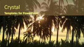  Presentation with palm plantation - Presentation design having palm-plantation-on-tropical-island background and a tawny brown colored foreground