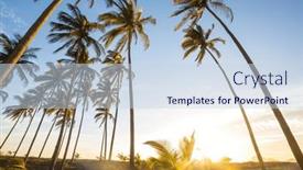 Presentation with palm plantation - Theme having palm-plantation-on-tropical-island background and a sky blue colored foreground