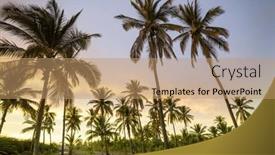  Presentation with palm plantation - PPT theme featuring palm-plantation-on-tropical-island background and a coral colored foreground