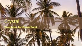  Presentation with palm plantation - Slides consisting of palm-plantation-on-tropical-island background and a tawny brown colored foreground