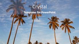  Presentation with palm plantation - PPT layouts consisting of palm-plantation-on-tropical-island background and a teal colored foreground