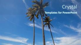  Presentation with palm plantation - Slides having palm-plantation-on-tropical-island background and a ocean colored foreground