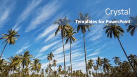  Presentation with palm plantation - Presentation design having palm-plantation-on-tropical-island background and a teal colored foreground