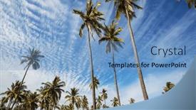  Presentation with palm plantation - PPT theme featuring palm-plantation-on-tropical-island background and a teal colored foreground