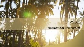  Presentation with palm plantation - Presentation enhanced with palm-plantation-on-tropical-island background and a yellow colored foreground