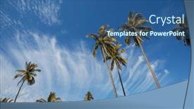  Presentation with palm plantation - Slides consisting of palm-plantation-on-tropical-island background and a ocean colored foreground