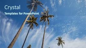  Presentation with palm plantation - Presentation theme having palm-plantation-on-tropical-island background and a ocean colored foreground