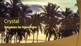  Presentation with palm plantation - Presentation having palm-plantation-on-tropical-island background and a tawny brown colored foreground