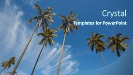  Presentation with palm plantation - PPT layouts with palm-plantation-on-tropical-island background and a ocean colored foreground