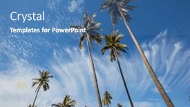  Presentation with palm plantation - PPT theme with palm-plantation-on-tropical-island background and a teal colored foreground