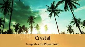  Presentation with palm plantation - Audience pleasing presentation consisting of palm plantation on tropical island backdrop and a yellow colored foreground