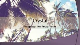  Presentation with palm plantation - Slide deck with palm plantation on tropical island background and a mint green colored foreground