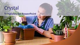  Presentation with seed - Slide deck with palm seed - young female gardener with plants background and a sky blue colored foreground