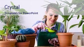  Presentation with seed - Colorful PPT theme enhanced with palm seed - young female gardener with plants backdrop and a sky blue colored foreground