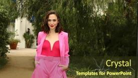  Presentation with directors - Audience pleasing PPT layouts consisting of palm-springs-jan-3-gal backdrop and a tawny brown colored foreground