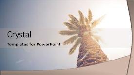  Presentation with palm tree - Presentation design having palm tree against sunny sky retro style background and a soft green colored foreground