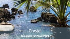  Presentation with palm tree - Slide deck with palm tree and clear water background and a seafoam green colored foreground