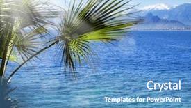  Presentation with palm tree - Slide set consisting of palm tree and clear water background and a teal colored foreground