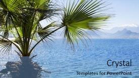  Presentation with water leaf - Audience pleasing PPT theme consisting of palm tree and clear water backdrop and a light blue colored foreground
