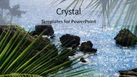  Presentation with water leaf - Slide set consisting of palm tree and clear water background and a light blue colored foreground