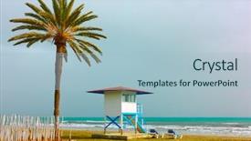  Presentation with palm tree - Theme having palm tree and life guard background and a light blue colored foreground