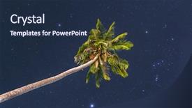  Presentation with single tree - Presentation theme featuring palm tree at night sky background and a navy blue colored foreground