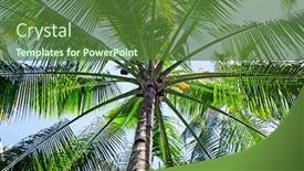  Presentation with indonesia - Amazing PPT theme having palm tree close up in indonesia asia backdrop and a tawny brown colored foreground