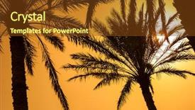  Presentation with oman - Slides with palm tree deasert - oasis in the middle background and a tawny brown colored foreground