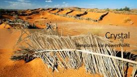  Presentation with sahara - Presentation theme consisting of palm tree deasert - sand fences in sahara desert background and a yellow colored foreground