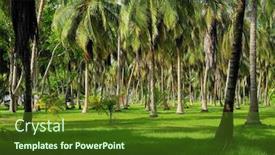  Presentation with colombia - Amazing slides having palm tree forest on isla grande colombia south america backdrop and a tawny brown colored foreground
