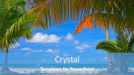  Presentation with beach frame - Colorful theme enhanced with palm tree frame around summer beach family rest backdrop and a teal colored foreground