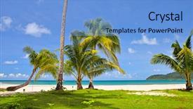  Presentation with palm tree - Presentation theme consisting of palm tree glade on the tropical nature beach near sea water with sky background background and a light blue colored foreground